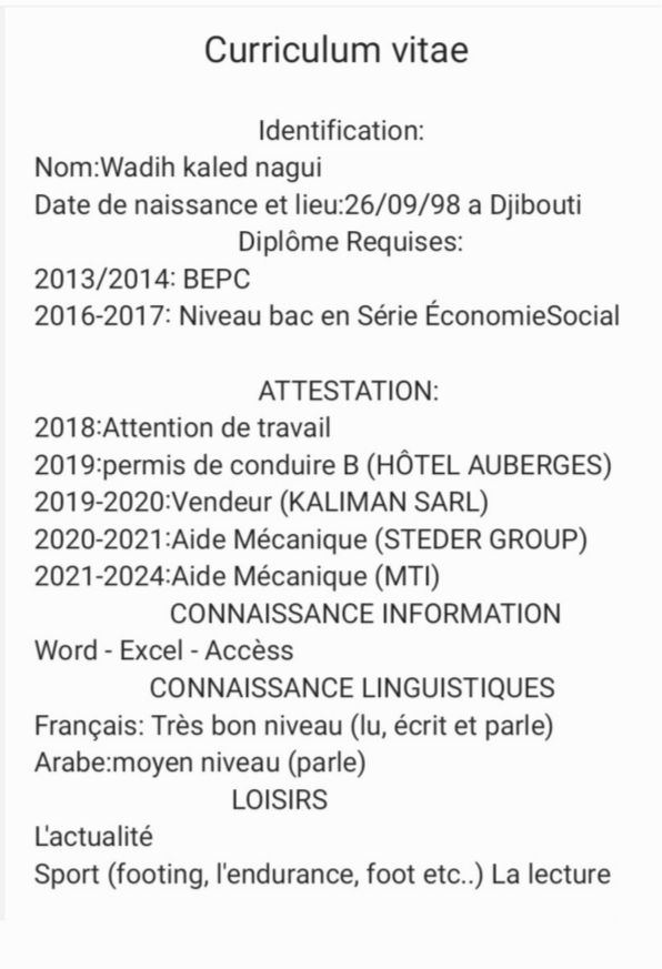 Chauffeur polyvalent avec 8 ans d'expérience