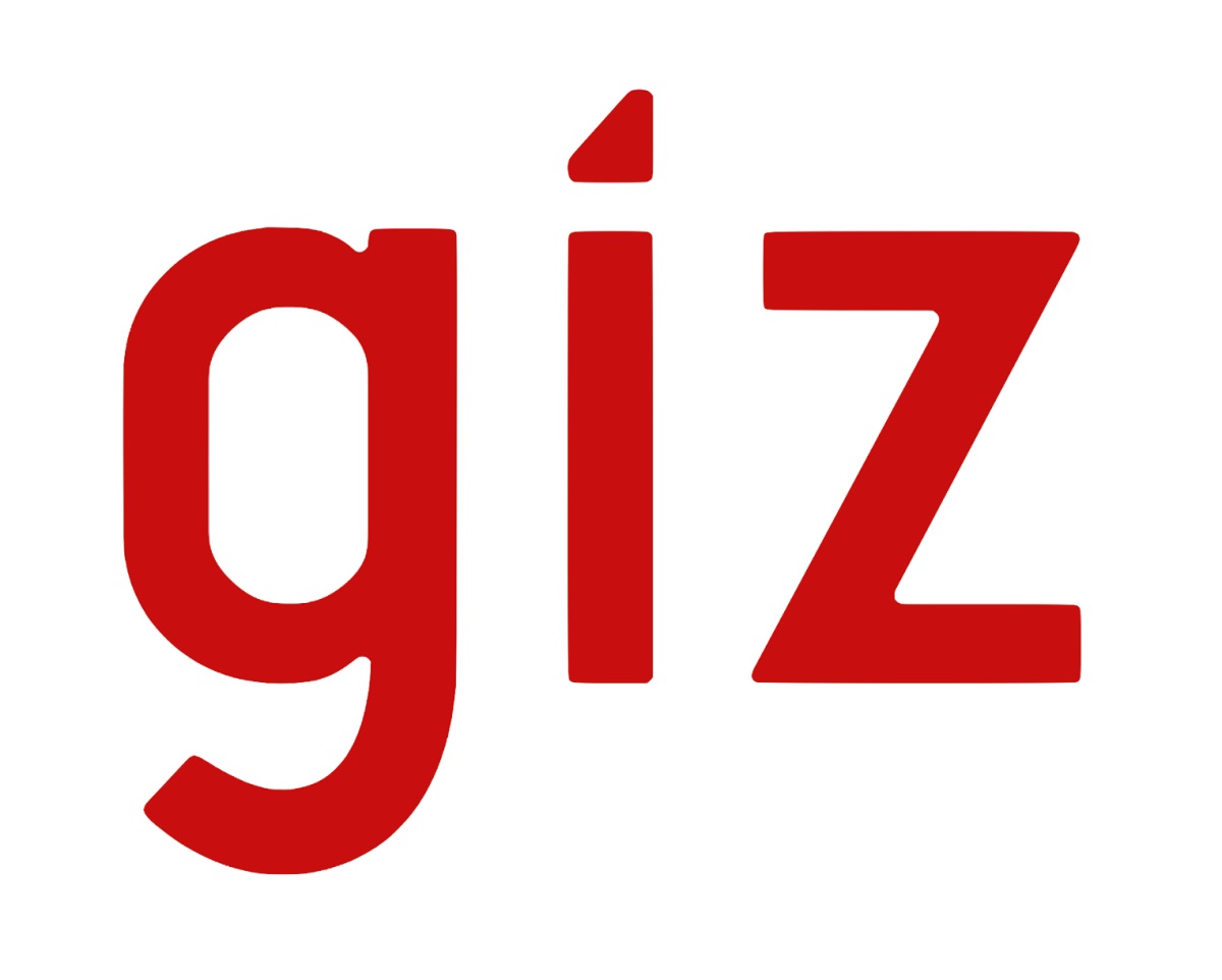 Appel d'offres - Recrutement d'un cabinet à Djibouti en digitalisation des services - GIZ