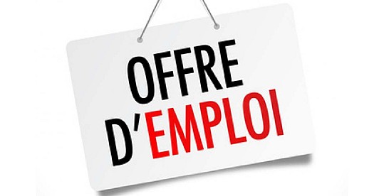 Offre d'emploi - Agent Commercial(e) automobile – Djibsou SARL